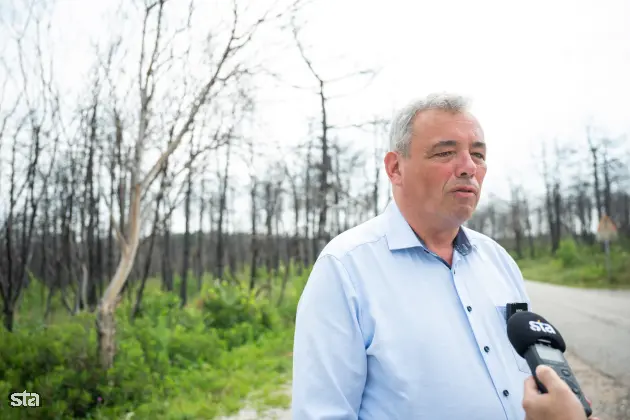 Kras. Stanje na kraških območjih, ki jih je pred dvema letoma prizadel požar. Župan občine Miren - Kostanjevica Mauricij Humar. Foto: Boštjan Podlogar/STA