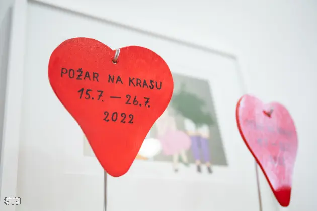 Kras. Stanje na kraških območjih, ki jih je pred dvema letoma prizadel požar. Foto: Boštjan Podlogar/STA
