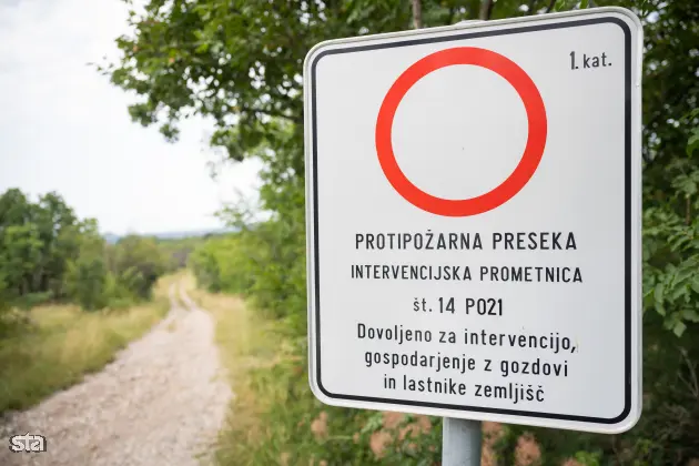 Kras. Stanje na kraških območjih, ki jih je pred dvema letoma prizadel požar. Foto: Boštjan Podlogar/STA