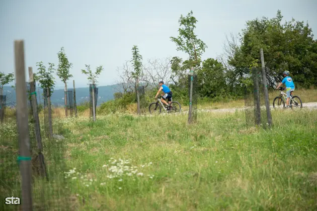 Kras. Stanje na kraških območjih, ki jih je pred dvema letoma prizadel požar. Foto: Boštjan Podlogar/STA