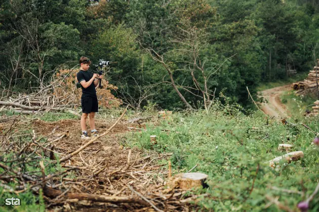 Kras. Stanje na kraških območjih, ki jih je pred dvema letoma prizadel požar. Foto: Boštjan Podlogar/STA
