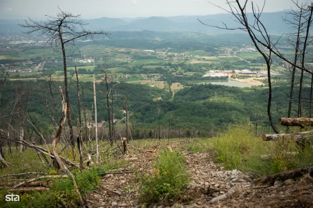 Kras. Stanje na kraških območjih, ki jih je pred dvema letoma prizadel požar. Foto: Boštjan Podlogar/STA